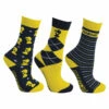 Hy Little Rider Lancelot Children's Socks - Pack Of 3 2 Hy Little Rider Lancelot Children's Socks - Pack Of 3 -The Horse Care Shop hy hy little rider lancelot childrens socks pack of 3 88323.1631364511