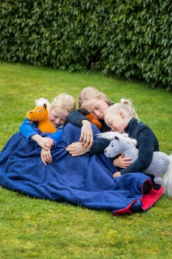 Hy Thelwell Toy Ponies - Fiona & Merrylegs -The Horse Care Shop hy thelwell toy ponies fiona and merrylegs 03545.1689461644