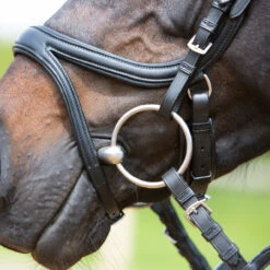 Kieffer Ultrasoft Tara Snaffle Bridle -The Horse Care Shop kieffer kieffer ultrasoft tara snaffle bridle 20766.1631408797