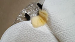 KM Elite Front Rolled Close Contact Square -The Horse Care Shop km elite km elite front rolled close contact square 16225.1631697642