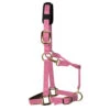 KM Elite Luxury Padded Headcollars -The Horse Care Shop km elite km elite luxury padded headcollars 94775.1631629227