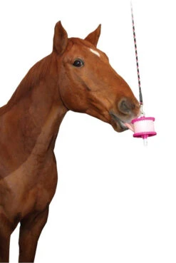 Likit Lick Holders -The Horse Care Shop likit likit lick holders 71343.1631632336