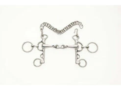 French Link Rugby Pelham