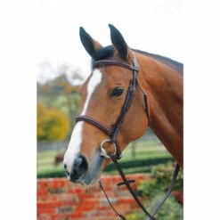 Mark Todd Plain Raised Cavesson Bridle - Brown Cob
