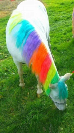 My Happy Equine Mane And Tail Chalk Sets -The Horse Care Shop my happy equine my happy equine mane and tail chalk sets 90760.1631409864