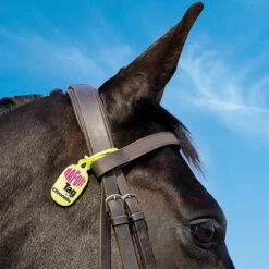 NAF Citronella Tags -The Horse Care Shop naf naf citronella tags 22998.1631628027
