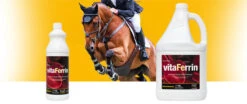 NAF Vitaferrin Liquid 5 NAF Vitaferrin Liquid -The Horse Care Shop naf naf vitaferrin liquid 28443.1631524115