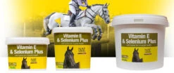 NAF Vitamin E, Selenium And Lysine - All Sizes