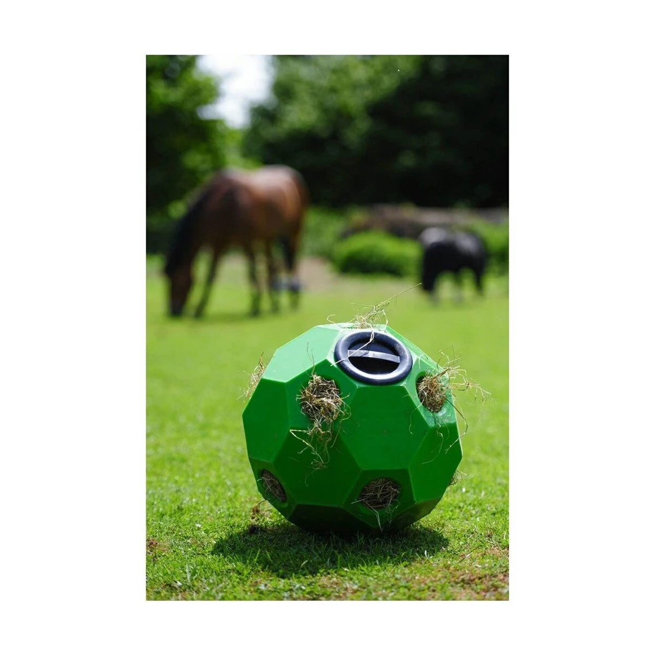 Parallax Hay Play Balls - All Colours 4 Parallax Hay Play Balls - All Colours - Image 2