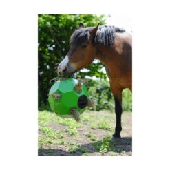 Parallax Hay Play Balls - All Colours 7 Parallax Hay Play Balls - All Colours -The Horse Care Shop parallax plastics parallax hay play balls all colours 84765.1631409253