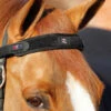 Premier Equine Bi-Polar Magni-Teque Browband 2 Premier Equine Bi-Polar Magni-Teque Browband -The Horse Care Shop premier equine bi polar magni teque browband 98399.1692748655