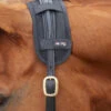Premier Equine Bi-Polar Magni-Teque Poll Band -The Horse Care Shop premier equine bi polar magni teque poll band 66341.1692834938