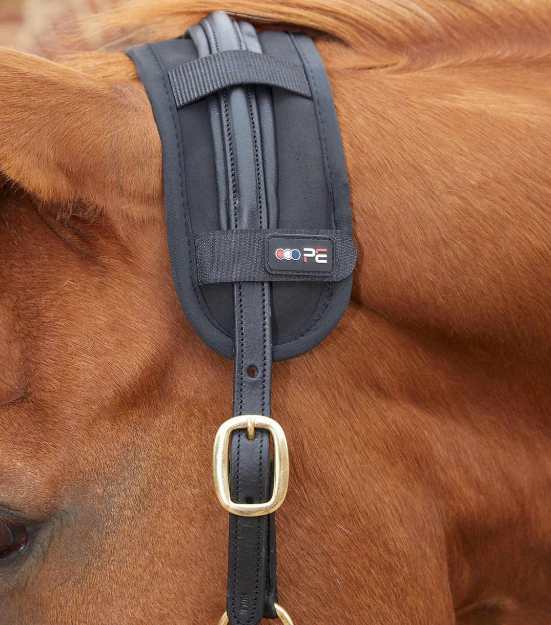 Premier Equine Bi-Polar Magni-Teque Poll Band 3 Premier Equine Bi-Polar Magni-Teque Poll Band