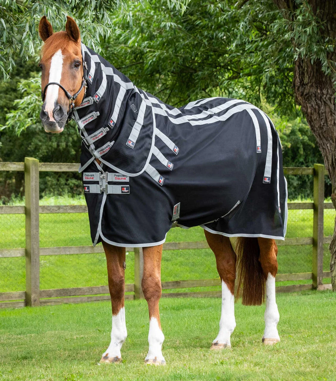 The Horse Care Shop -The Horse Care Shop premier equine bi polar magni teque therapy rug 55383.1692661962