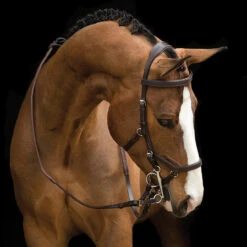 Rambo Micklem Competition Bridles - Black Or Brown -The Horse Care Shop rambo rambo micklem competition bridles no reins 55689.1631698233