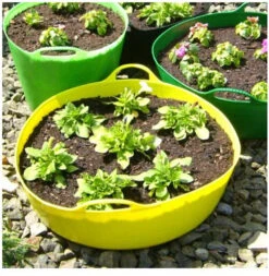 Red Gorilla Shallow Tubtrugs - 35 Litres -The Horse Care Shop red gorilla red gorilla shallow tubtrugs 35 litres 07962.1631523383