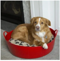 Red Gorilla Shallow Tubtrugs - 35 Litres -The Horse Care Shop red gorilla red gorilla shallow tubtrugs 35 litres 61156.1631524475