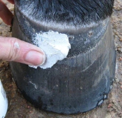 Red Horse Artimud - Medicated Hoof Putty - All Sizes -The Horse Care Shop red horse products red horse artimud medicated hoof putty all sizes 60579.1656324052