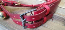 Reindeer Bell Harness And Collar Set 15 Reindeer Bell Harness And Collar Set -The Horse Care Shop reindeer bell harness and collar set 40341.1674230441