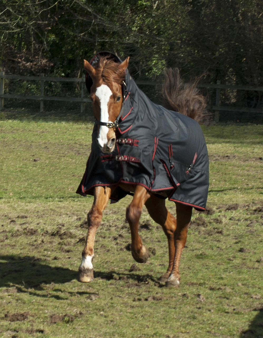 Rhinegold Aspen Heavyweight Turnout Rugs With Neck 4 Rhinegold Aspen Heavyweight Turnout Rugs With Neck - Image 2