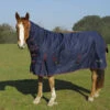 Rhinegold Aspen Heavyweight Turnout Rugs With Neck -The Horse Care Shop rhinegold rhinegold aspen heavyweight turnout rugs with neck 15881.1631697283