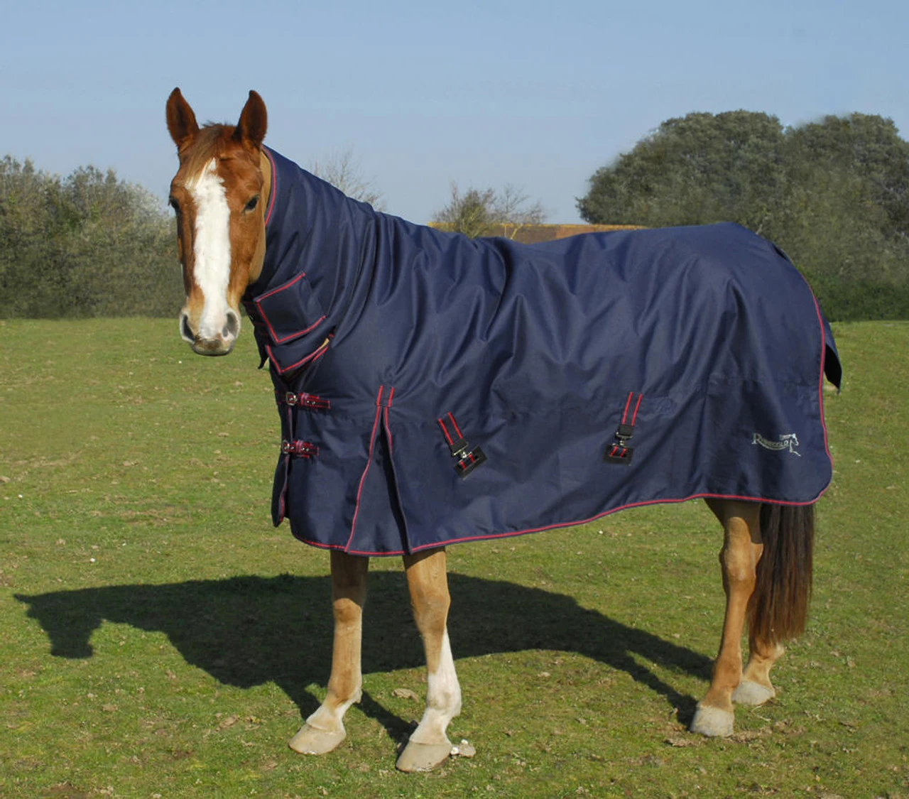 Rhinegold Aspen Heavyweight Turnout Rugs With Neck 3 Rhinegold Aspen Heavyweight Turnout Rugs With Neck