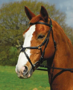 Rhinegold Comfort Bridle With Grackle Noseband (R103) -The Horse Care Shop rhinegold rhinegold comfort bridle with grackle noseband r103 06918.1631698478