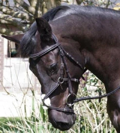 Rhinegold Elegance Mexican Noseband Bridle