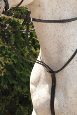Rhinegold Elegance Running Martingale -The Horse Care Shop rhinegold rhinegold elegance running martingale 48371.1631696435