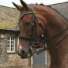 Rhinegold Leather Anatomical Double Bridle -The Horse Care Shop rhinegold rhinegold leather anatomical double bridle 94126.1631696427