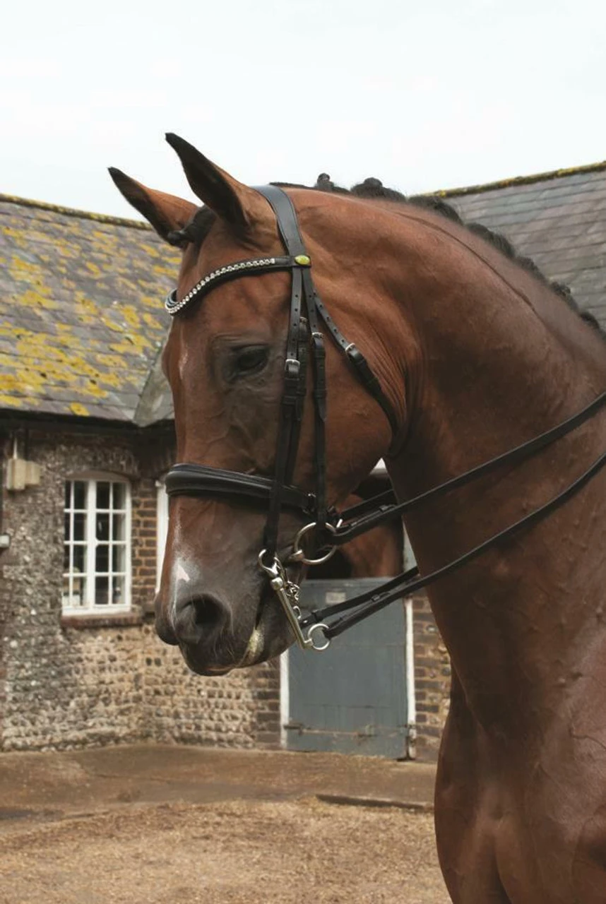 Rhinegold Leather Anatomical Double Bridle 3 Rhinegold Leather Anatomical Double Bridle