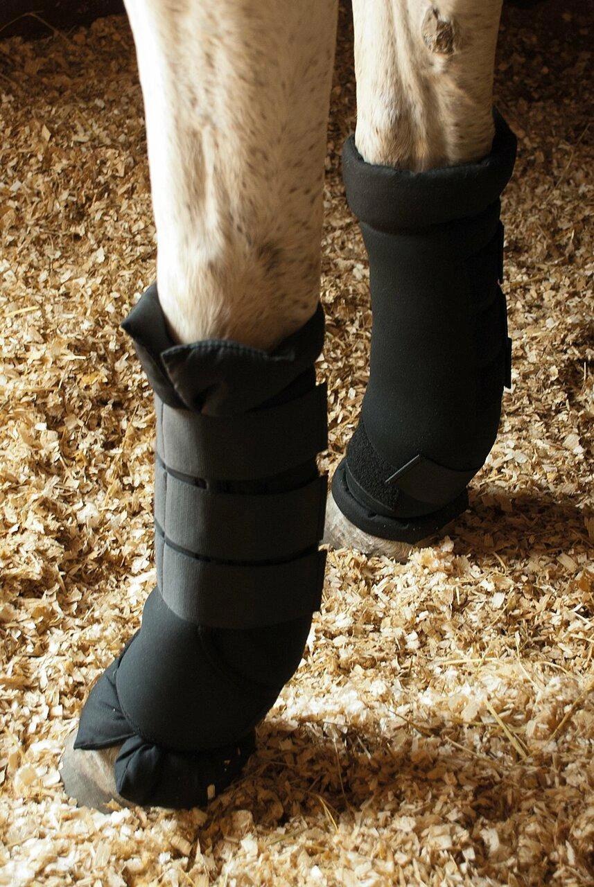 Rhinegold Stable Medicine Boots With Padded Wraps 4 Rhinegold Stable Medicine Boots With Padded Wraps - Image 2