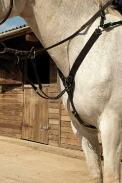 Rhinegold V-Check Elasticated Breastplate -The Horse Care Shop rhinegold rhinegold v check elasticated breastplate 93854.1631696303