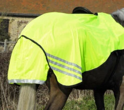 Rhinegold Yellow Mesh Exercise Sheet 6 Rhinegold Yellow Mesh Exercise Sheet -The Horse Care Shop rhinegold rhinegold yellow mesh exercise sheet 04207.1631363913