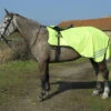 Rhinegold Yellow Mesh Exercise Sheet -The Horse Care Shop rhinegold rhinegold yellow mesh exercise sheet 91974.1631364859