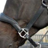Rhinegold Softee Pro-Anatomic Headcollar - Black 2 Rhinegold Softee Pro-Anatomic Headcollar - Black -The Horse Care Shop rhinegold softee pro anatomic headcollar black 83954.1657707680