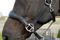 Rhinegold Softee Pro-Anatomic Headcollar - Black