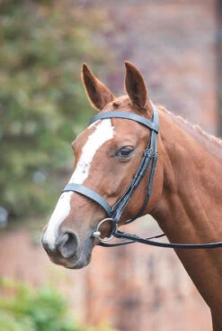 Shires Avignon Hunter Cavesson Bridle - All Colours