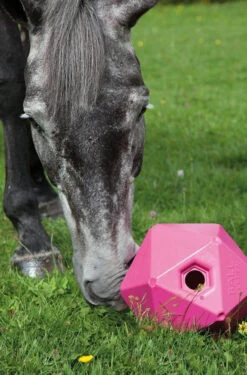 Shires Ball Feeders Horse Toys - All Colours -The Horse Care Shop shires ball feeders horse toys all colours 86611.1645595185