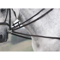 Shires Cotton Web Draw Reins 5 Shires Cotton Web Draw Reins -The Horse Care Shop shires cotton web draw reins 75205.1678383242