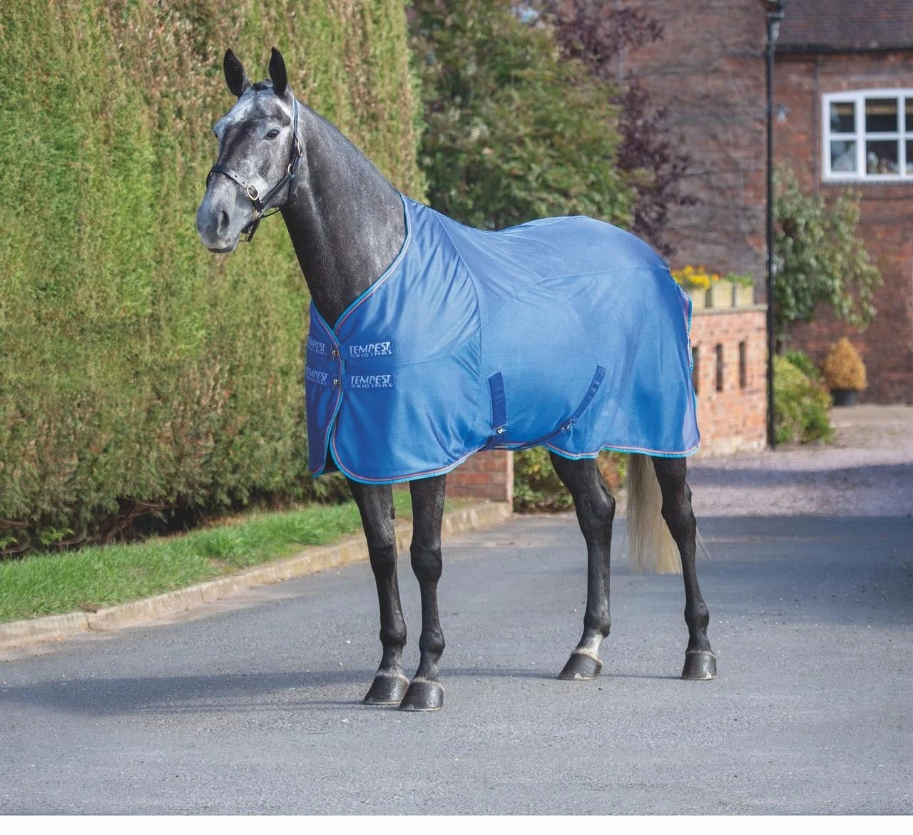 Shires Fleece & Mesh Cooler Rug - All Colours 4 Shires Fleece & Mesh Cooler Rug - All Colours - Image 2