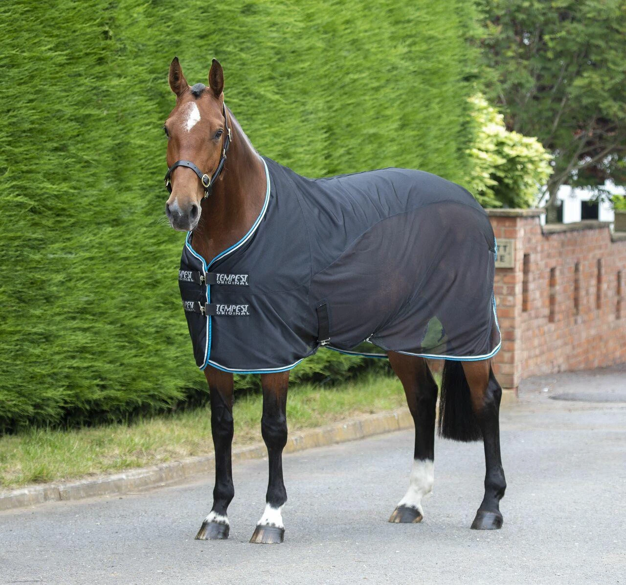 Shires Fleece & Mesh Cooler Rug - All Colours 3 Shires Fleece & Mesh Cooler Rug - All Colours