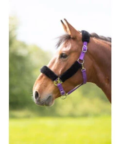 Shires Fleece Lined Headcollars - All Colours -The Horse Care Shop shires fleece lined headcollars all colours 04888.1644298174