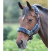 Shires Fleece Lined Headcollars - All Colours -The Horse Care Shop shires fleece lined headcollars all colours 18047.1644297822