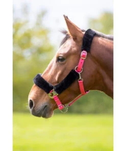 Shires Fleece Lined Headcollars - All Colours -The Horse Care Shop shires fleece lined headcollars all colours 53342.1644297924