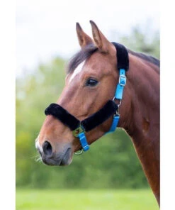Shires Fleece Lined Headcollars - All Colours -The Horse Care Shop shires fleece lined headcollars all colours 86552.1644298068