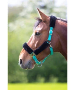 Shires Fleece Lined Headcollars - All Colours -The Horse Care Shop shires fleece lined headcollars all colours 88571.1644298176