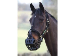 Greenguard Headcollars - Black