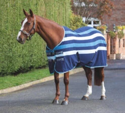 Shires Newmarket Fleece Rugs - All Colours -The Horse Care Shop shires newmarket fleece rugs all colours 57570.1656324057