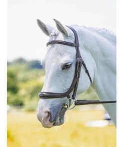 Shires Rapida Ergonomic Curved Cavesson Bridle 7 Shires Rapida Ergonomic Curved Cavesson Bridle -The Horse Care Shop shires rapida ergonomic curved cavesson bridle 18836.1644124790